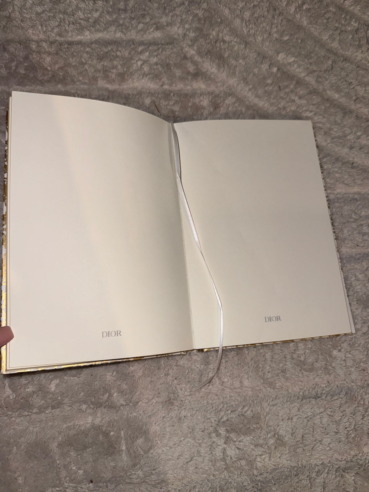 Dior Beauty Holiday Notebook GWP